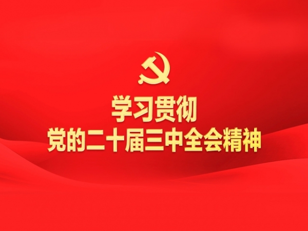專題丨學(xué)習(xí)貫徹黨的二十屆三中全會精神